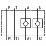 NG10 Check valve in A and B